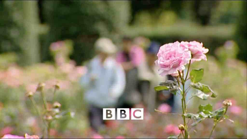 Stacks Image 488